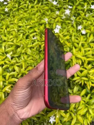 Apple iPhone 11 (Used)