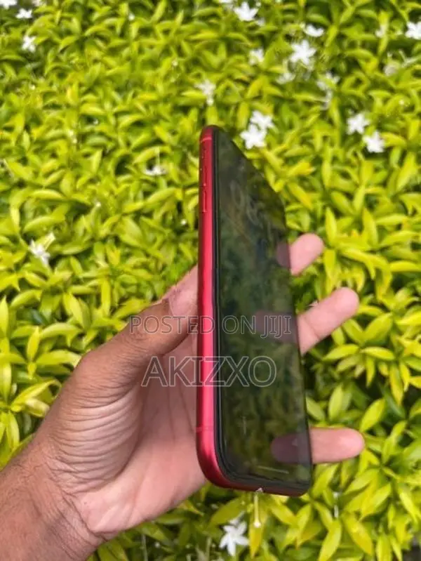 Apple iPhone 11 (Used)