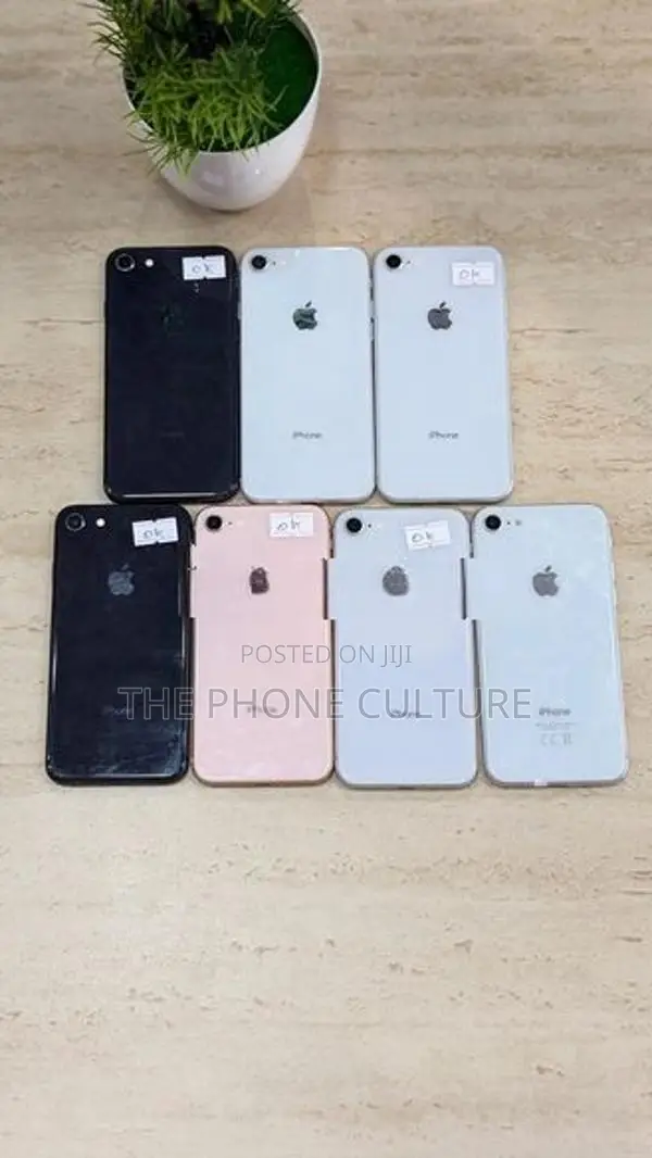 Apple iPhone 8 64GB (Used)