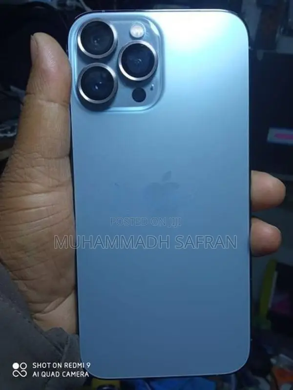 Apple iPhone 13 Pro Max (Used)