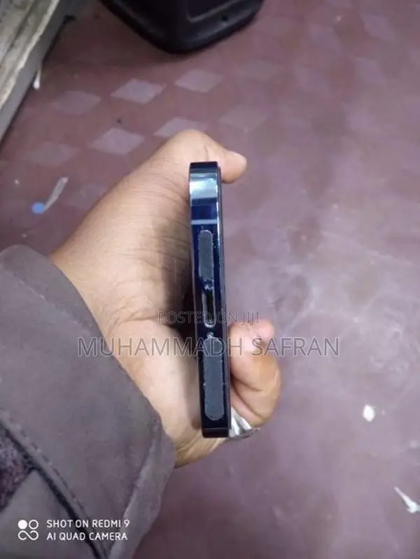 Apple iPhone 13 Pro Max (Used)