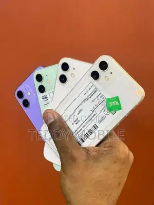 Apple iPhone 12 mini (Used)