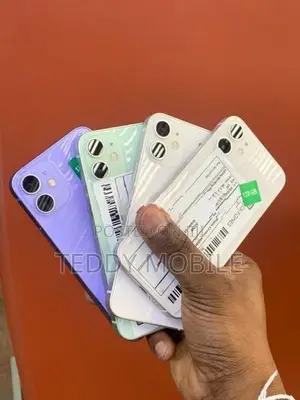 Apple iPhone 12 mini (Used)