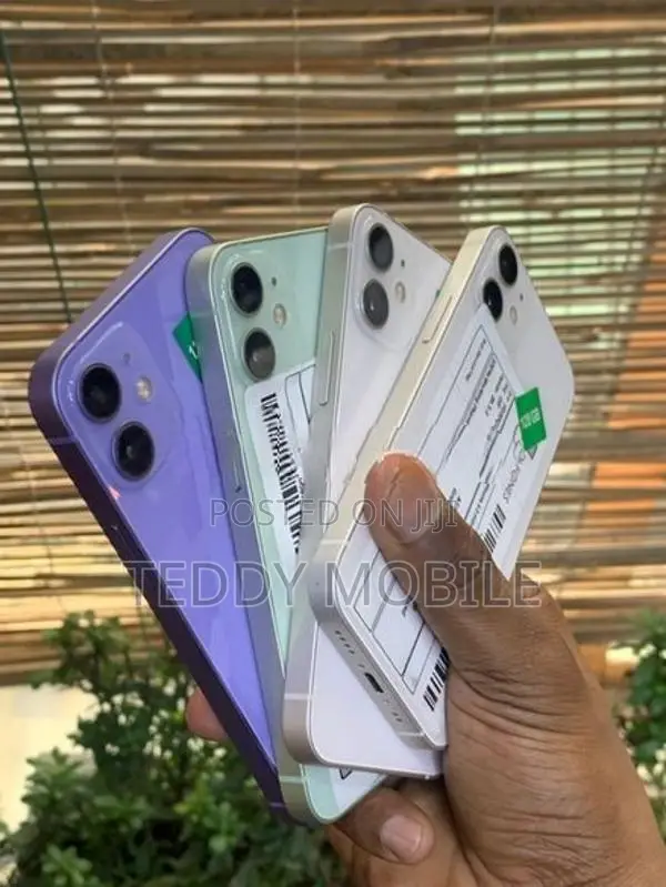 Apple iPhone 12 mini (Used)