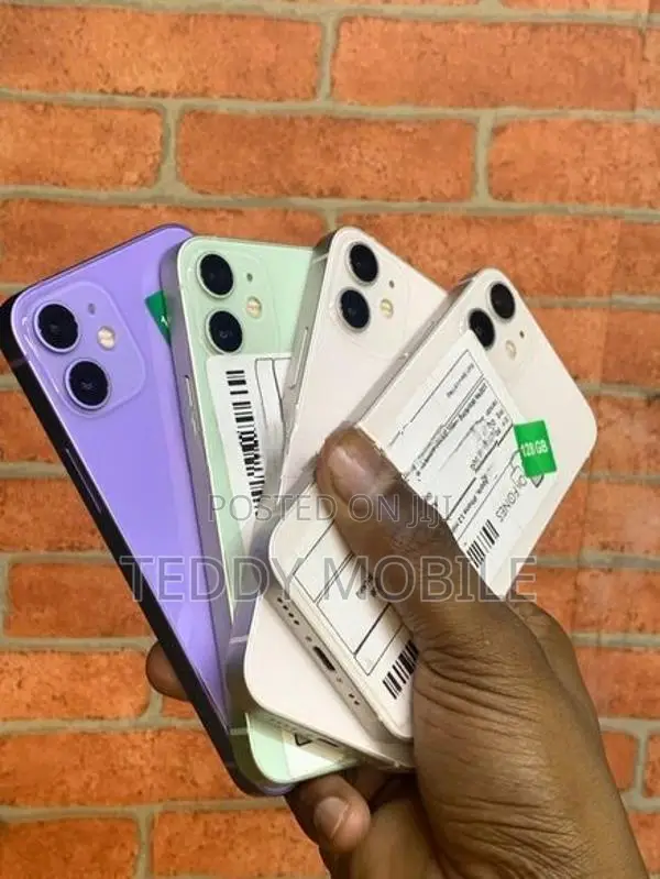 Apple iPhone 12 mini (Used)