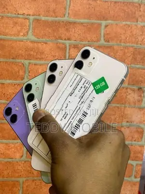 Apple iPhone 12 mini (Used)