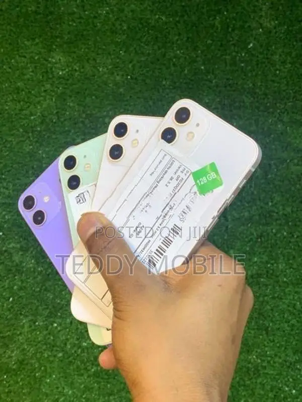 Apple iPhone 12 mini (Used)