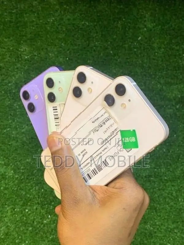Apple iPhone 12 mini (Used)