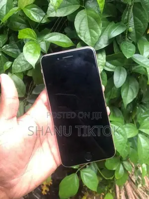 Apple iPhone 8 Plus (Used)