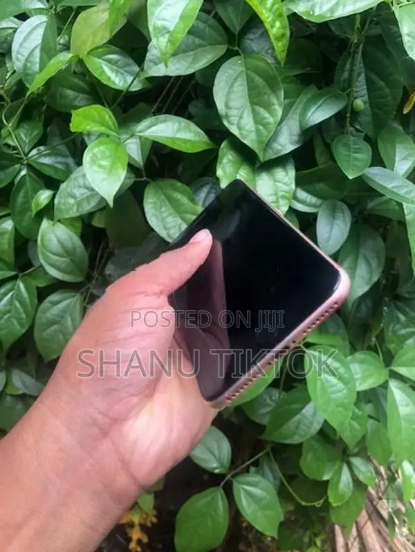 Apple iPhone 8 Plus (Used)