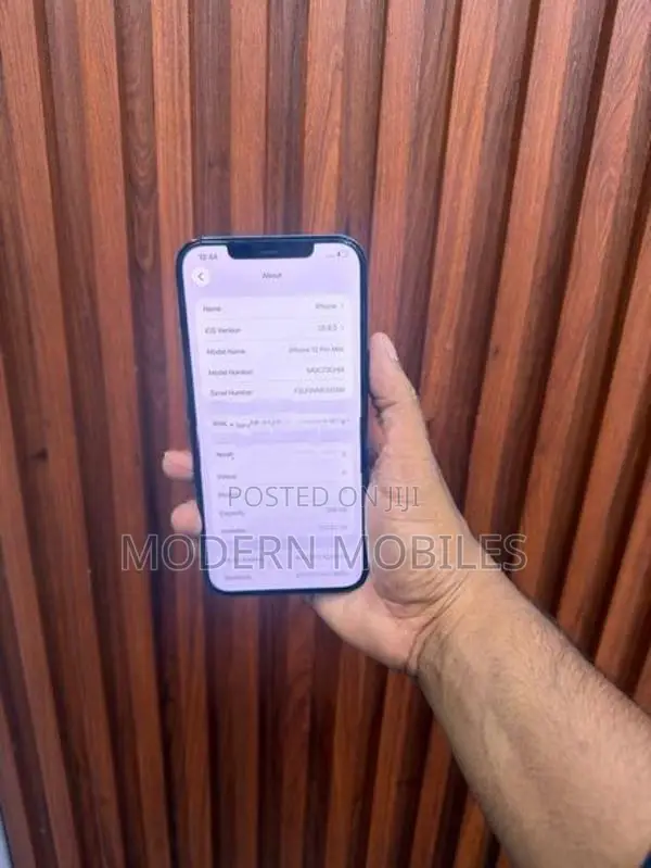 Apple iPhone 12 Pro Max (Used)