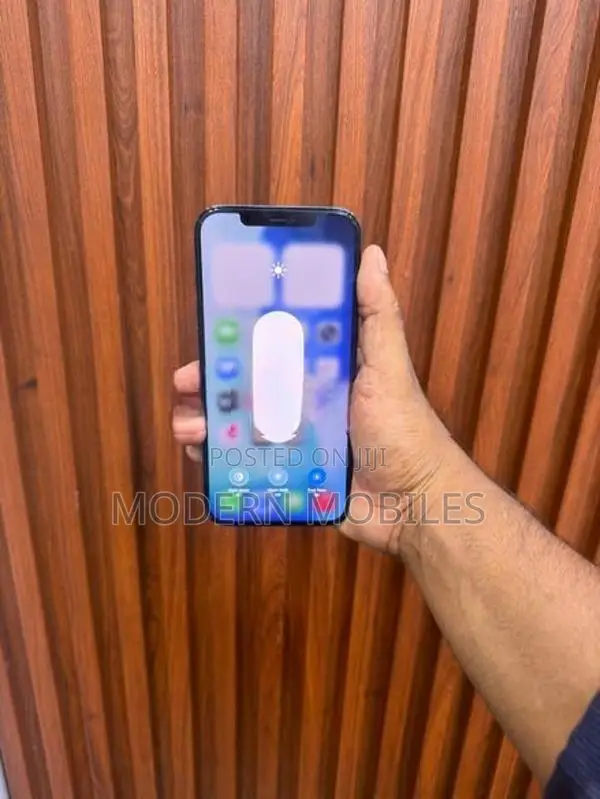 Apple iPhone 12 Pro Max (Used)
