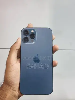 Apple iPhone 12 Pro Max (Used)