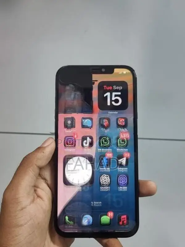 Apple iPhone 12 Pro Max (Used)