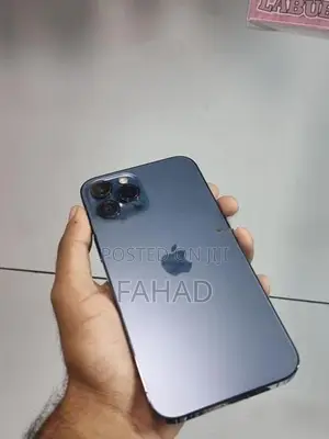 Apple iPhone 12 Pro Max (Used)
