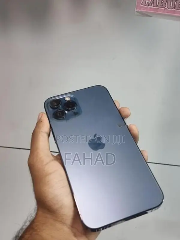 Apple iPhone 12 Pro Max (Used)