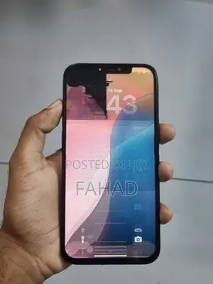 Apple iPhone 12 Pro Max (Used)