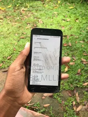 Samsung Galaxy J2 Pro (Used)