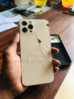 Apple iPhone 12 Pro Max (Used)