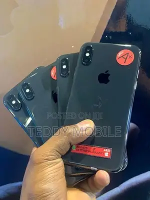 Apple iPhone X (Used)