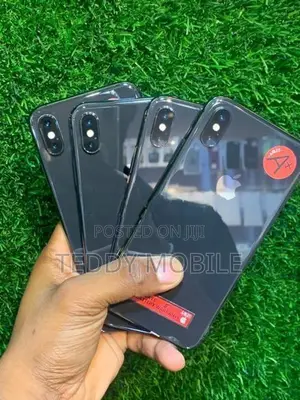 Apple iPhone X (Used)