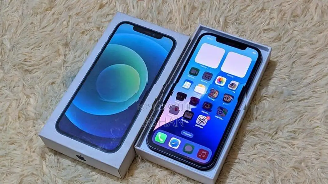 Apple iPhone 12 (Used)