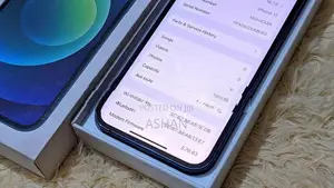 Apple iPhone 12 (Used)