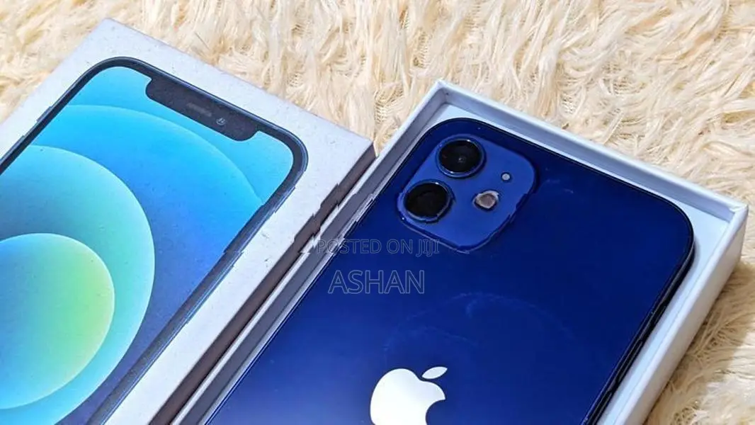 Apple iPhone 12 (Used)