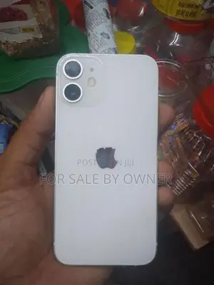 Apple iPhone 12 mini (Used)