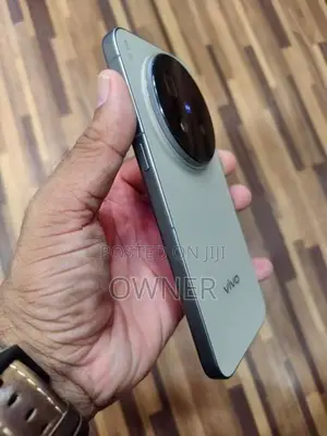 Vivo X300 Pro (Used)
