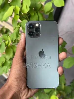 Apple iPhone 12 (Used)