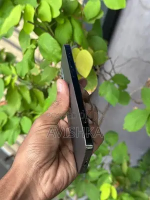 Apple iPhone 12 (Used)