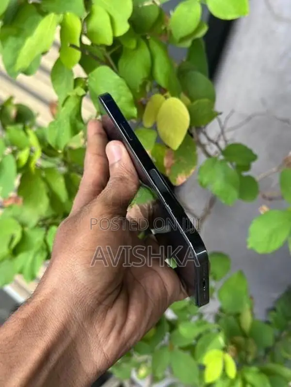 Apple iPhone 12 (Used)