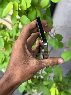 Apple iPhone 12 (Used)