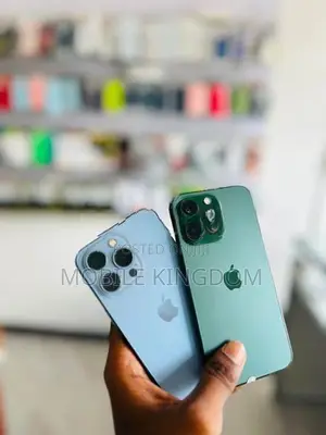 Apple iPhone 13 Pro 256GB (Used)