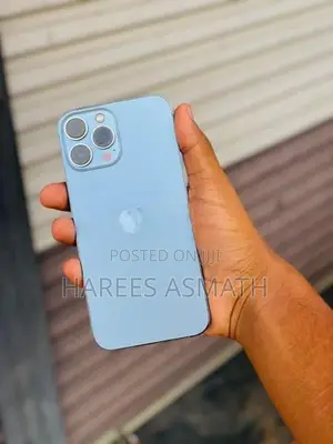 Apple iPhone 13 Pro Max (Used)