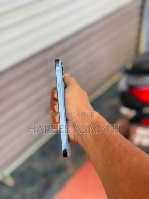 Apple iPhone 13 Pro Max (Used)