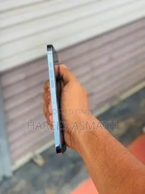 Apple iPhone 13 Pro Max (Used)