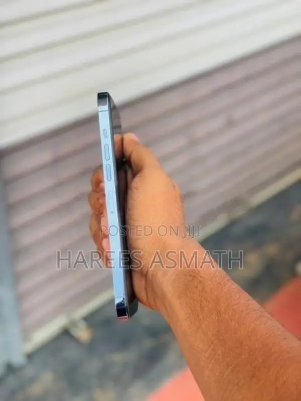 Apple iPhone 13 Pro Max (Used)