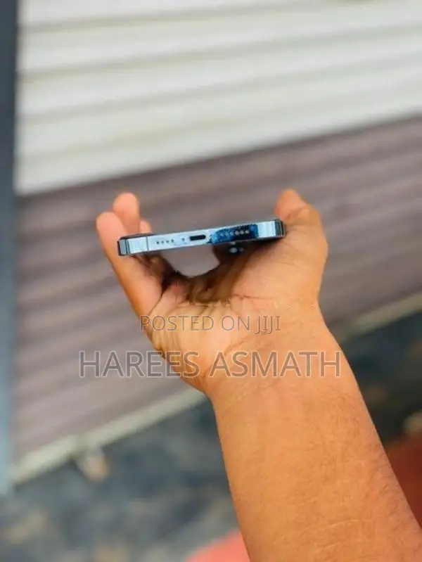 Apple iPhone 13 Pro Max (Used)