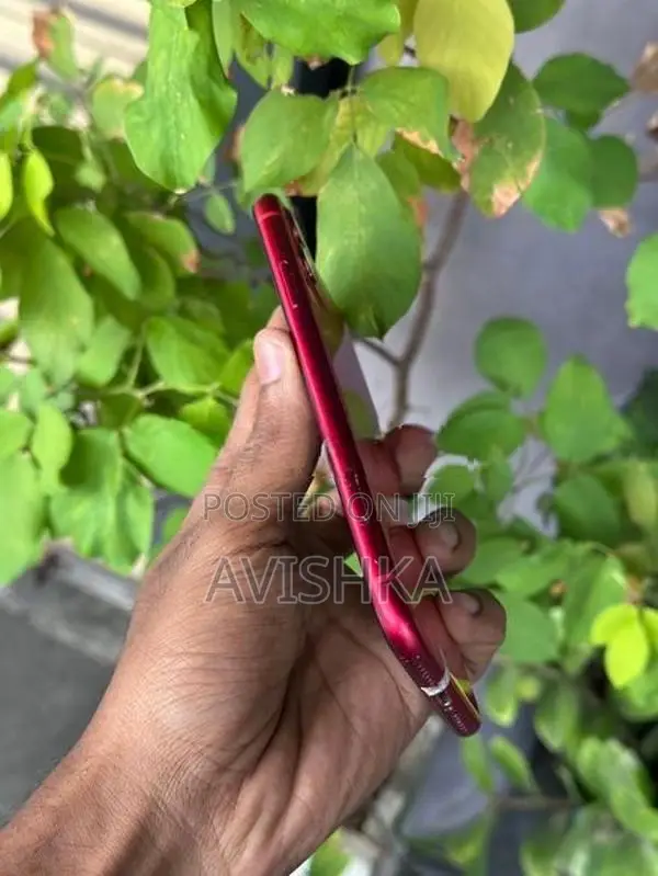 Apple iPhone 11 (Used)