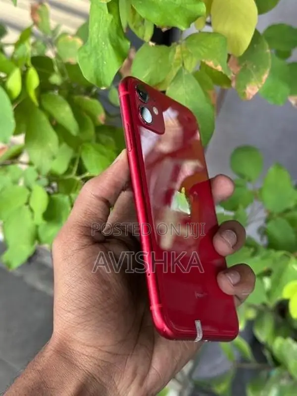 Apple iPhone 11 (Used)