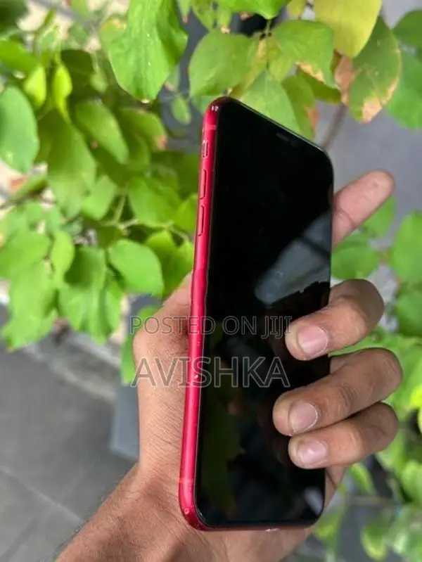 Apple iPhone 11 (Used)