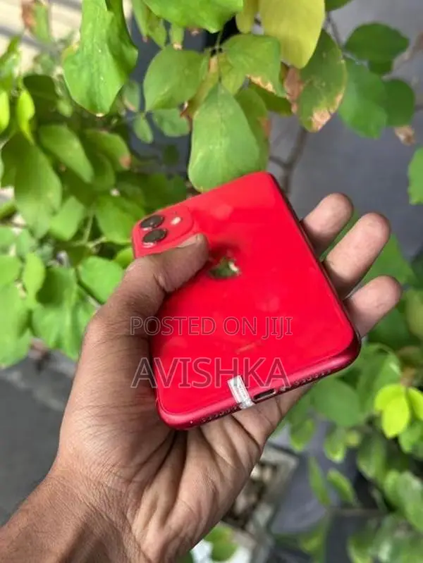 Apple iPhone 11 (Used)