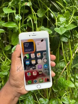 Apple iPhone 6S Plus (Used)