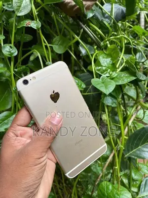 Apple iPhone 6S Plus (Used)