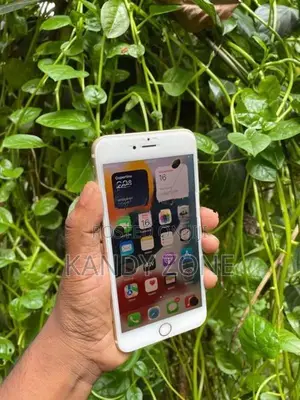 Apple iPhone 6S Plus (Used)