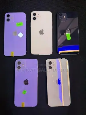 Apple iPhone 12 (Used)
