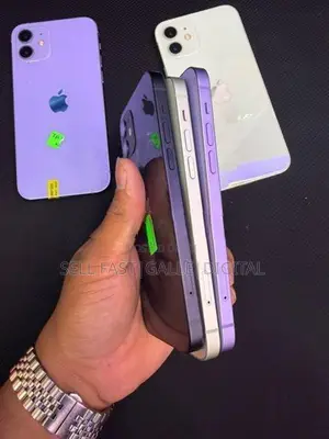 Apple iPhone 12 (Used)