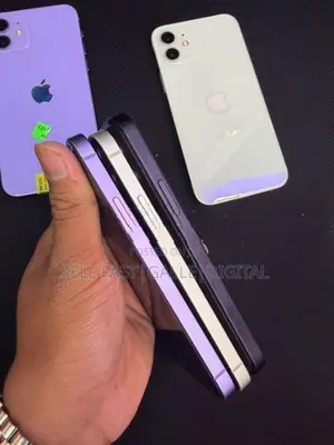 Apple iPhone 12 (Used)